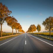 Open empty road lined by trees