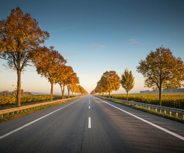 Is It Time For The Road Trip Of Your Life?
