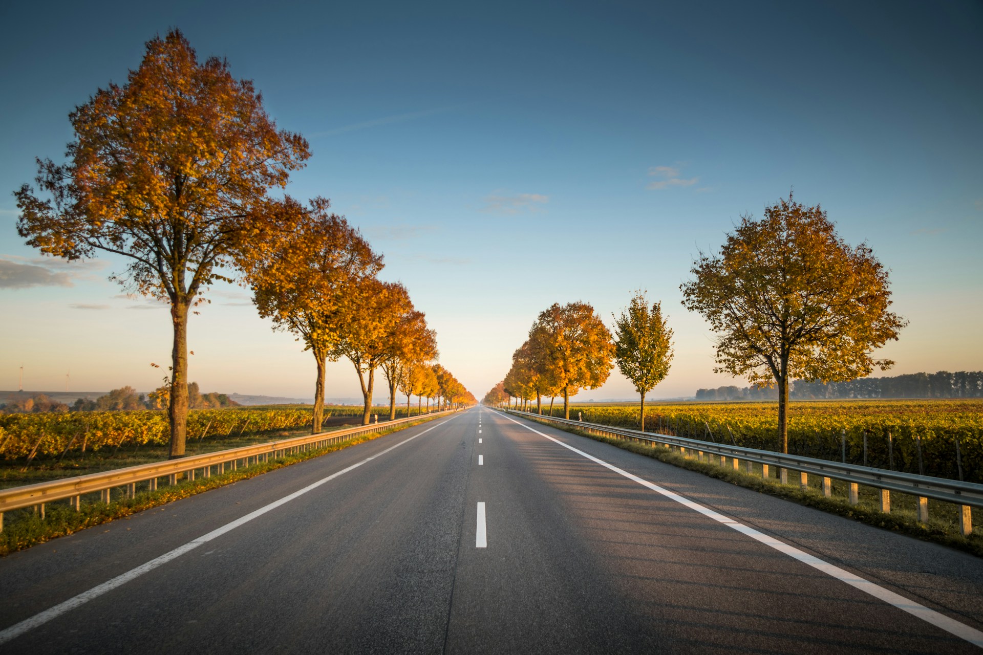 Is It Time For The Road Trip Of Your Life?