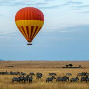 Red and yellow hot air balloon hovering over a field of Zebras