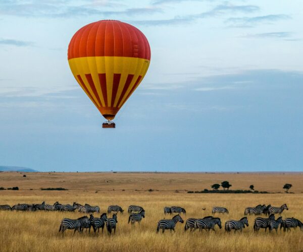 Top 5 Safari Destinations to Explore in Kenya