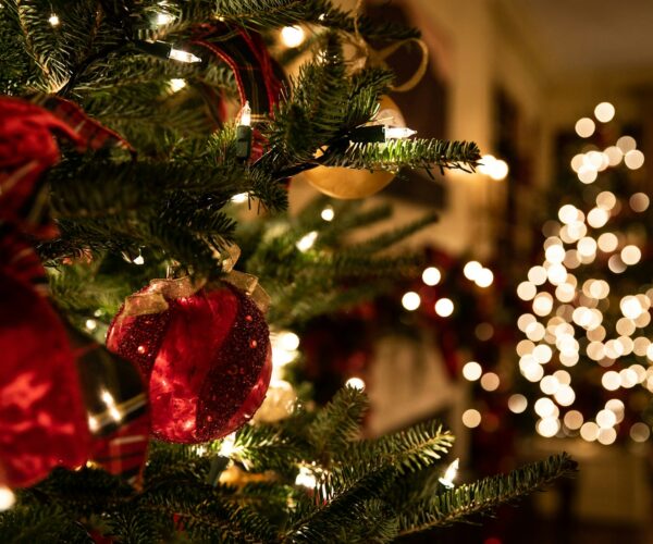 What Local Activities Should You Plan for a Christmas Day Celebration?