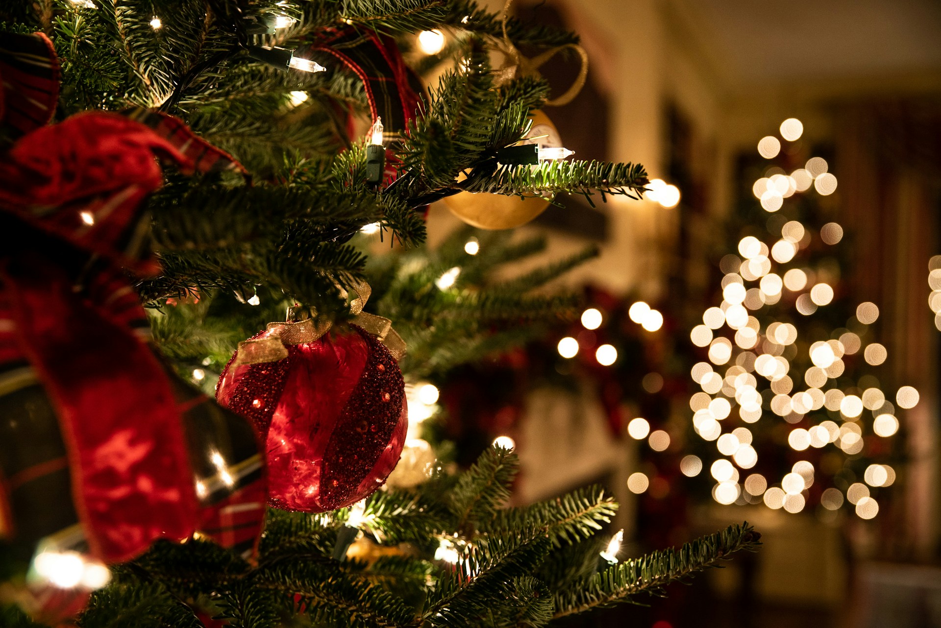 What Local Activities Should You Plan for a Christmas Day Celebration?