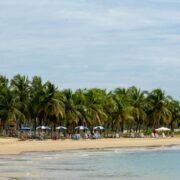 Palm fringed beach in the Caribbean